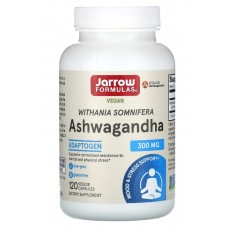 Jarrow Formulas 印度人蔘(南非醉茄) 300mg*120顆 - Ashwagandha 印度人參